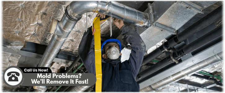 Air Duct Mold Removal in Gilbert
