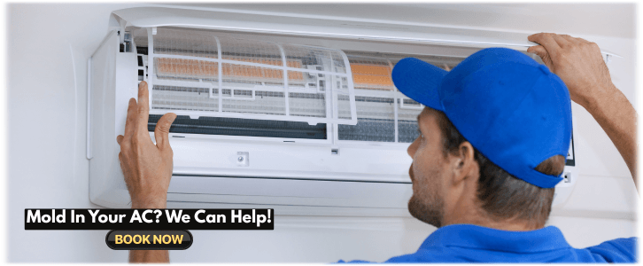 HVAC Mold Removal Gilbert